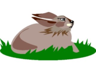 Sticker Custom Preview Image #025136 Animals Land Animals Rabbit19