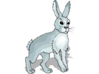 Sticker Custom Preview Image #025138 Animals Land Animals Rabbit21