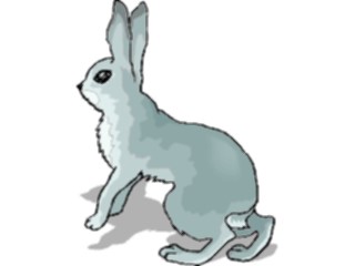 Sticker Custom Preview Image #025139 Animals Land Animals Rabbit22