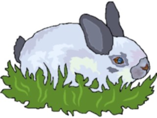 Sticker Custom Preview Image #025141 Animals Land Animals Rabbit24