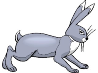 Sticker Custom Preview Image #025142 Animals Land Animals Rabbit25