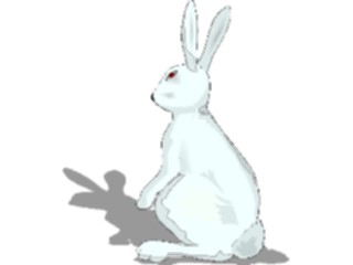 Sticker Custom Preview Image #025143 Animals Land Animals Rabbit26