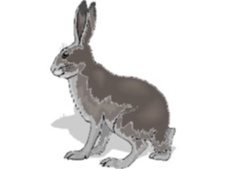 Sticker Custom Preview Image #025147 Animals Land Animals Rabbit30