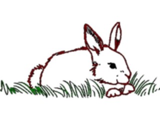 Sticker Custom Preview Image #025151 Animals Land Animals Rabbit34