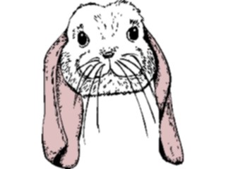 Sticker Custom Preview Image #025154 Animals Land Animals Rabbit37