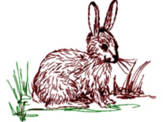 Sticker Custom Preview Image #025157 Animals Land Animals Rabbit40