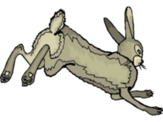 Sticker Custom Preview Image #025161 Animals Land Animals Rabbit Running