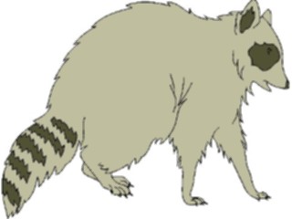 Sticker Custom Preview Image #025166 Animals Land Animals Racoon1