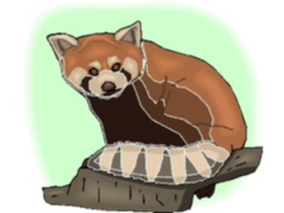 Sticker Custom Preview Image #025169 Animals Land Animals Racoon4