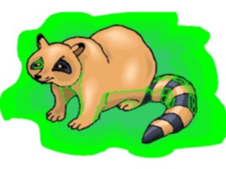 Sticker Custom Preview Image #025170 Animals Land Animals Racoon5