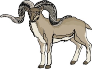 Sticker Custom Preview Image #025184 Animals Land Animals Ram12
