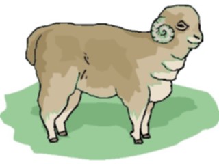 Sticker Custom Preview Image #025187 Animals Land Animals Ram15