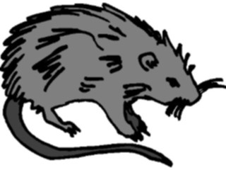 Sticker Custom Preview Image #025195 Animals Land Animals Rat1