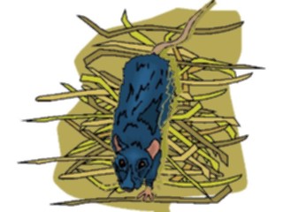 Sticker Custom Preview Image #025196 Animals Land Animals Rat2