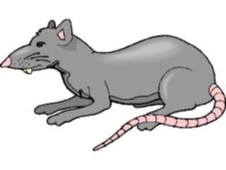 Sticker Custom Preview Image #025197 Animals Land Animals Rat3