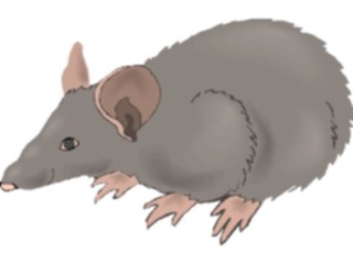 Sticker Custom Preview Image #025198 Animals Land Animals Rat4