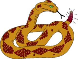 Sticker Custom Preview Image #025202 Animals Land Animals Rattlesnake3