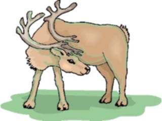 Sticker Custom Preview Image #025204 Animals Land Animals Reindeer2