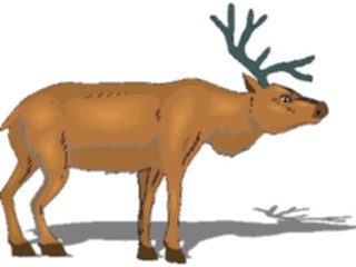 Sticker Custom Preview Image #025205 Animals Land Animals Reindeer3