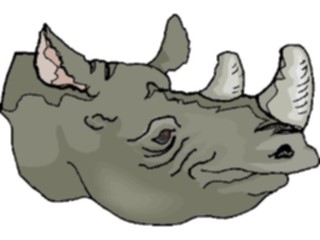 Sticker Custom Preview Image #025216 Animals Land Animals Rhino11