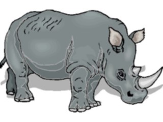 Sticker Custom Preview Image #025217 Animals Land Animals Rhino12