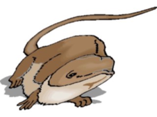 Sticker Custom Preview Image #025224 Animals Land Animals Rodent