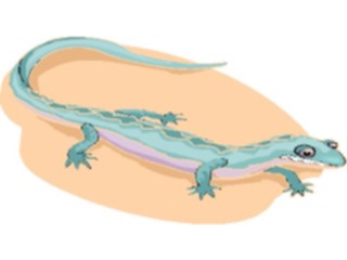 Sticker Custom Preview Image #025227 Animals Land Animals Salamander1