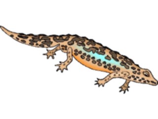 Sticker Custom Preview Image #025228 Animals Land Animals Salamander2