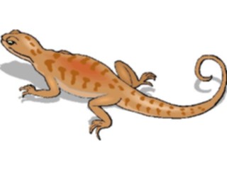 Sticker Custom Preview Image #025229 Animals Land Animals Salamander3