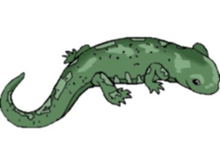 Sticker Custom Preview Image #025230 Animals Land Animals Salamander4