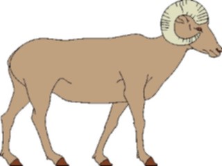 Sticker Custom Preview Image #025231 Animals Land Animals Sheep Bighorn1