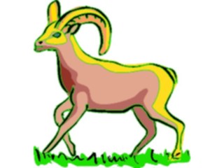 Sticker Custom Preview Image #025232 Animals Land Animals Sheep Bighorn2