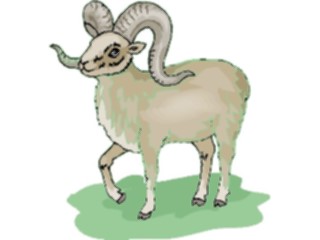 Sticker Custom Preview Image #025233 Animals Land Animals Sheep Bighorn3