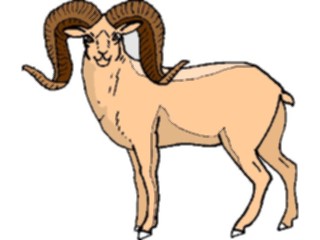 Sticker Custom Preview Image #025234 Animals Land Animals Sheep Bighorn4