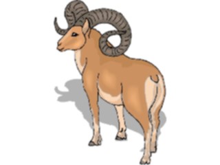 Sticker Custom Preview Image #025235 Animals Land Animals Sheep Bighorn5