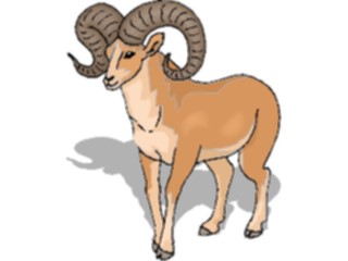 Sticker Custom Preview Image #025236 Animals Land Animals Sheep Bighorn6
