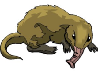 Sticker Custom Preview Image #025239 Animals Land Animals Shrew Long Nosed2