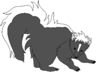 Sticker Custom Preview Image #025242 Animals Land Animals Skunk3
