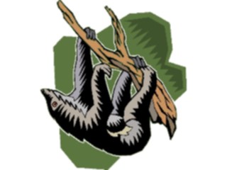 Sticker Custom Preview Image #025248 Animals Land Animals Sloth2