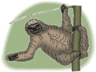 Sticker Custom Preview Image #025250 Animals Land Animals Sloth4