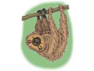 Sticker Custom Preview Image #025251 Animals Land Animals Sloth5