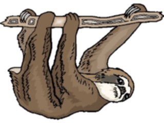 Sticker Custom Preview Image #025252 Animals Land Animals Sloth6