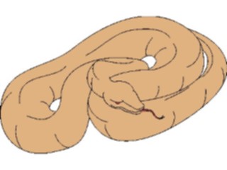 Sticker Custom Preview Image #025256 Animals Land Animals Snake03