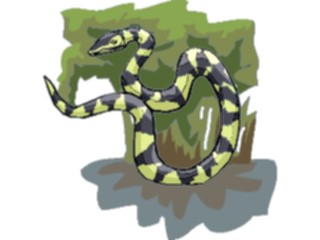 Sticker Custom Preview Image #025265 Animals Land Animals Snake12