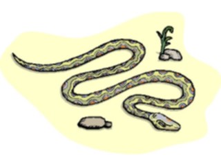 Sticker Custom Preview Image #025267 Animals Land Animals Snake14