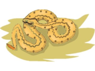 Sticker Custom Preview Image #025268 Animals Land Animals Snake15