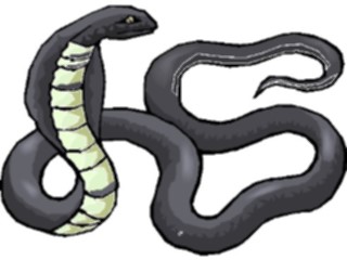 Sticker Custom Preview Image #025275 Animals Land Animals Snake22