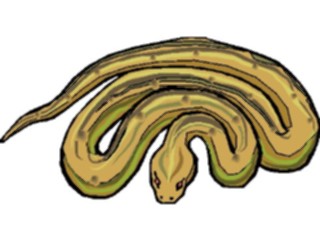 Sticker Custom Preview Image #025277 Animals Land Animals Snake24