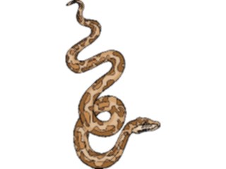 Sticker Custom Preview Image #025278 Animals Land Animals Snake25