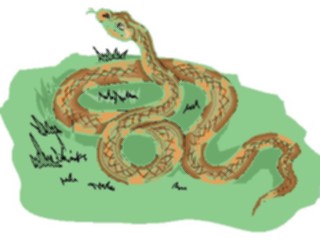 Sticker Custom Preview Image #025282 Animals Land Animals Snake29